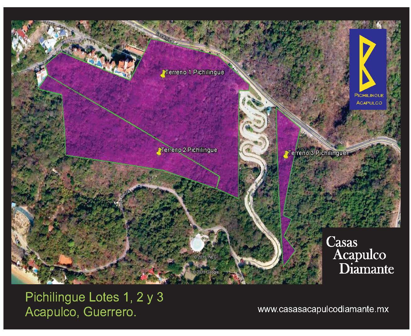 Macrolotes Pichilingue